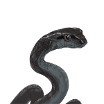黒蛇, へび, ヘビ, white snake